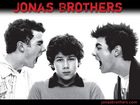 Jonas Brothers : jonas_brothers_1204046278.jpg