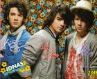 Jonas Brothers : jonas_brothers_1221763259.jpg