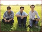 Jonas Brothers : jonas_brothers_1241803428.jpg