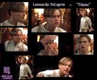 Leonardo DiCaprio : dicaprio5.jpg