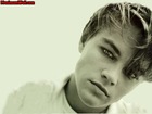 Leonardo DiCaprio : leonardo-dicaprio-1375035733.jpg
