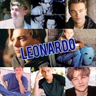 Leonardo DiCaprio : leonardo-dicaprio-1545041878.jpg