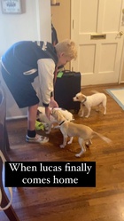 Lucas Royalty : lucas-royalty-1674586294.jpg