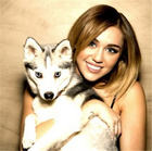 Miley Cyrus : miley-cyrus-1329431805.jpg