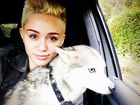 Miley Cyrus : miley-cyrus-1357723749.jpg