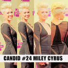 Miley Cyrus : miley-cyrus-1359788534.jpg