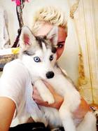 Miley Cyrus : miley-cyrus-1365881166.jpg