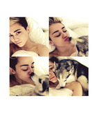 Miley Cyrus : miley-cyrus-1385408254.jpg