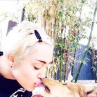 Miley Cyrus : miley-cyrus-1405361347.jpg