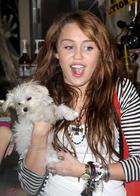 Miley Cyrus : miley_cyrus_1229283943.jpg