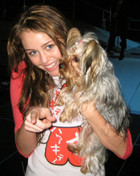 Miley Cyrus : miley_cyrus_1236969432.jpg