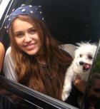 Miley Cyrus : miley_cyrus_1253067936.jpg