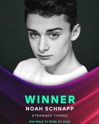 Noah Schnapp : noah-schnapp-1670382851.jpg