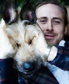 Ryan Gosling : ryan-gosling-1370208372.jpg