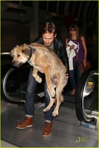 Ryan Gosling : ryan-gosling-1370208738.jpg