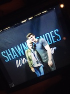 Shawn Mendes : shawn-mendes-1460854441.jpg