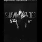 Shawn Mendes : shawn-mendes-1460855881.jpg