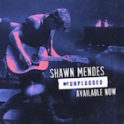 Shawn Mendes : shawn-mendes-1509945121.jpg
