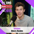 Shawn Mendes : shawn-mendes-1577481794.jpg