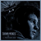 Shawn Mendes : shawn-mendes-1586997979.jpg