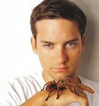 Tobey Maguire : tobey_maguire_1193504751.jpg
