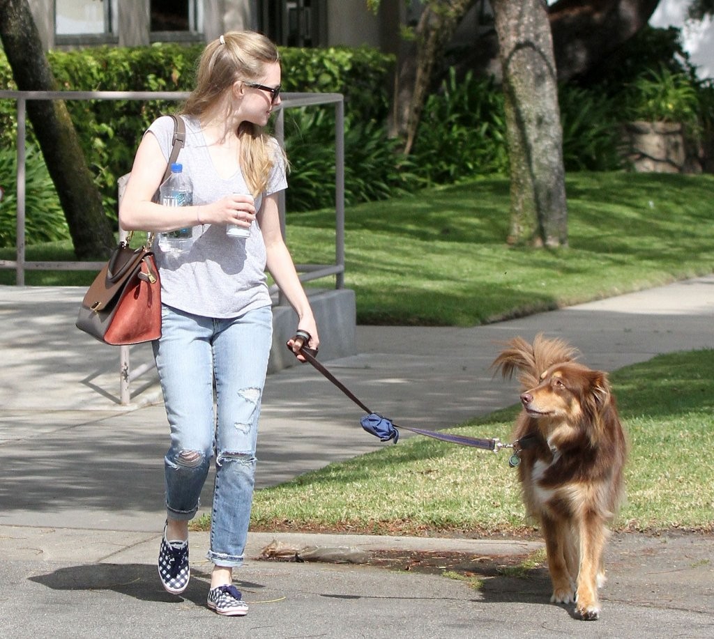 General photo of Amanda Seyfried