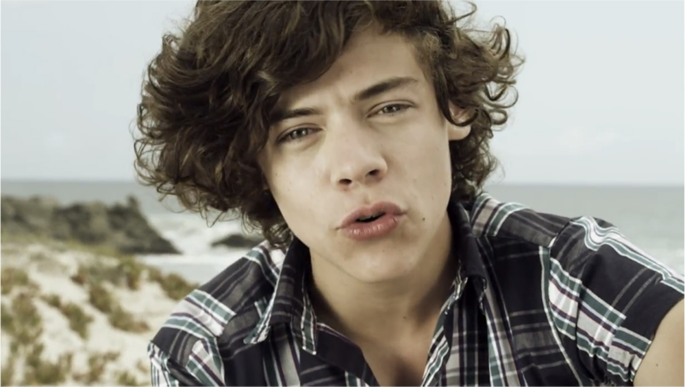 Harry Styles in Music Video: What Makes You Beautiful