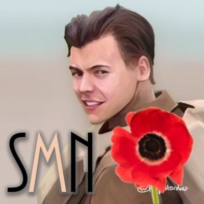 Harry Styles in Fan Creations