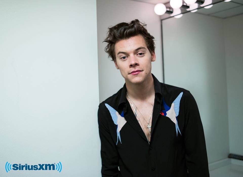 General photo of Harry Styles