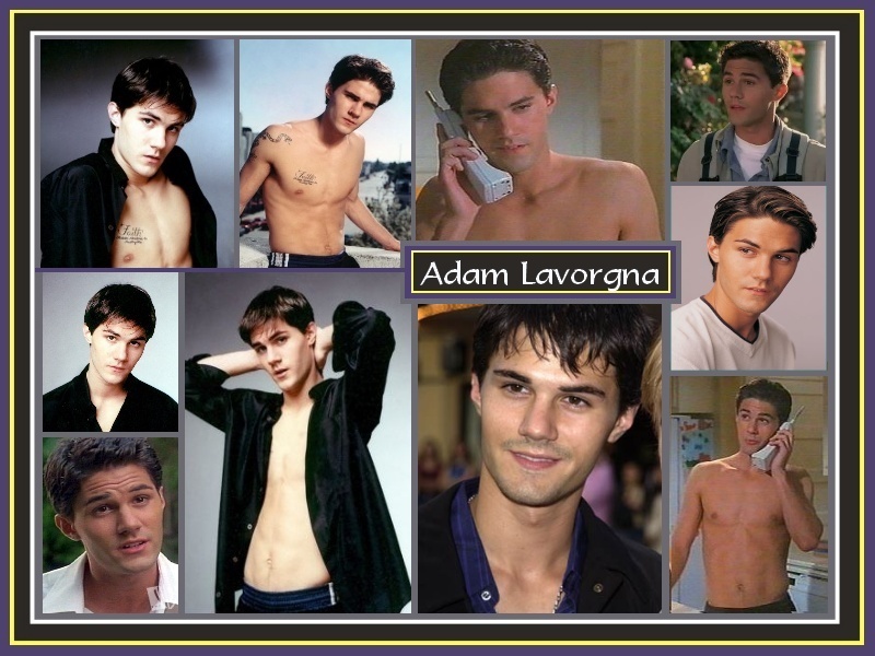 Adam LaVorgna in Fan Creations