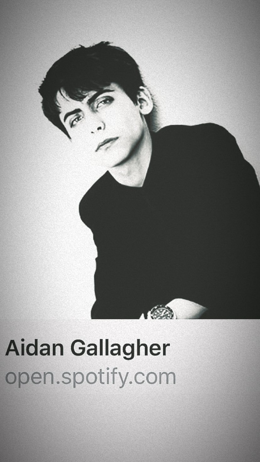 General photo of Aidan Gallagher