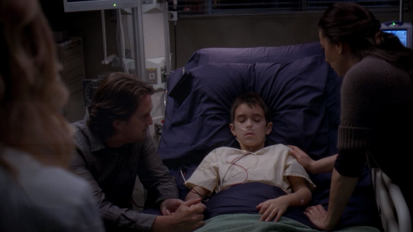Aidan Walter in Grey's Anatomy, episode: Push