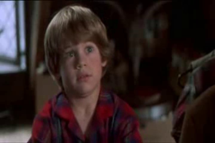 Alex D. Linz in Home Alone 3