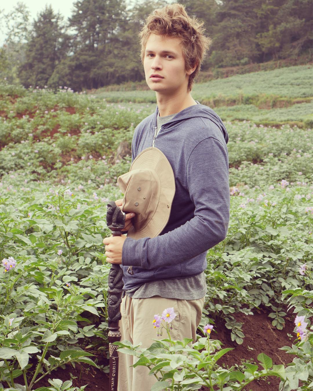 General photo of Ansel Elgort