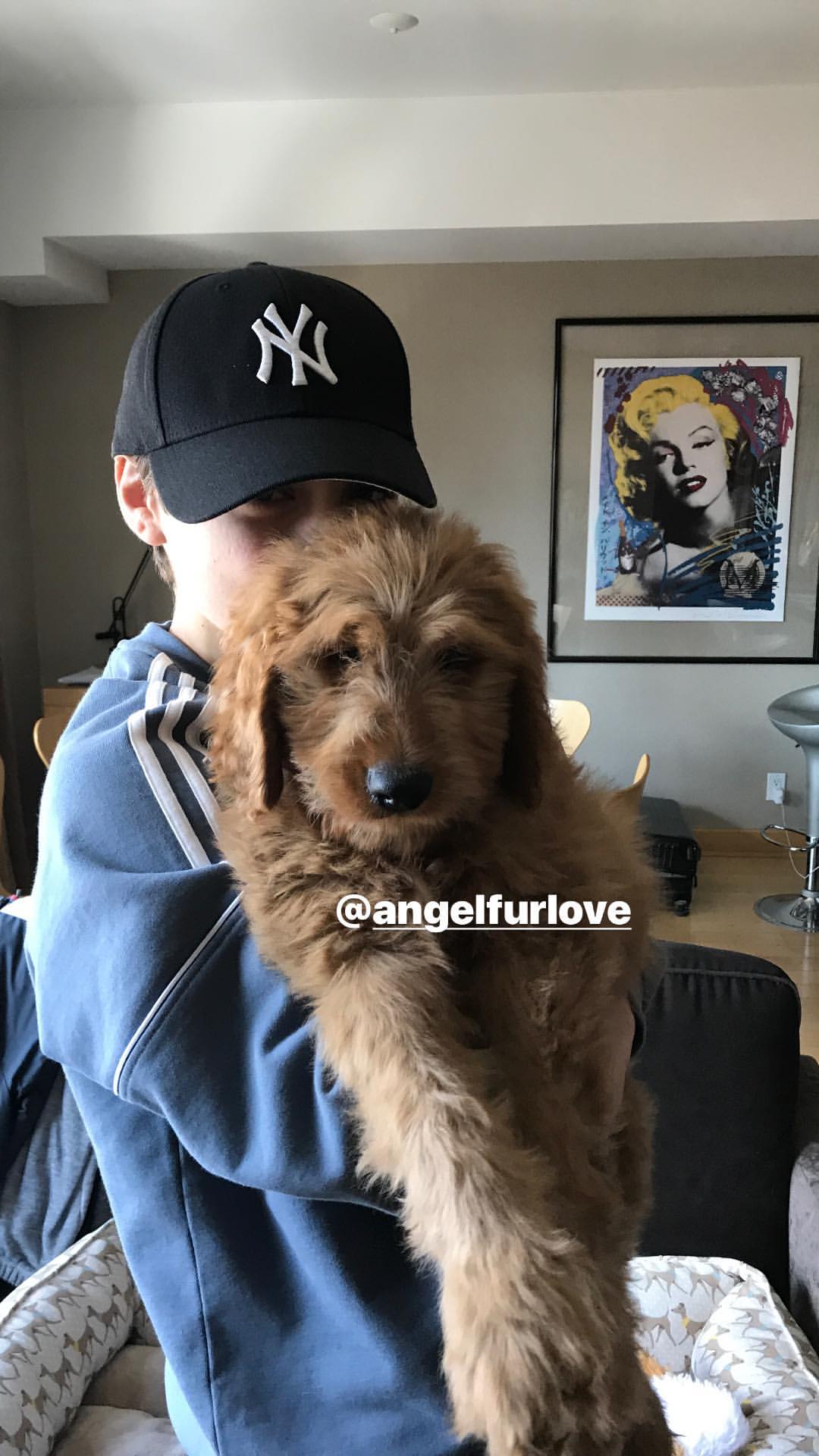 General photo of Asher Angel