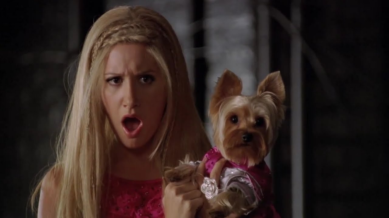 Ashley Tisdale in Sharpay's Fabulous Adventure
