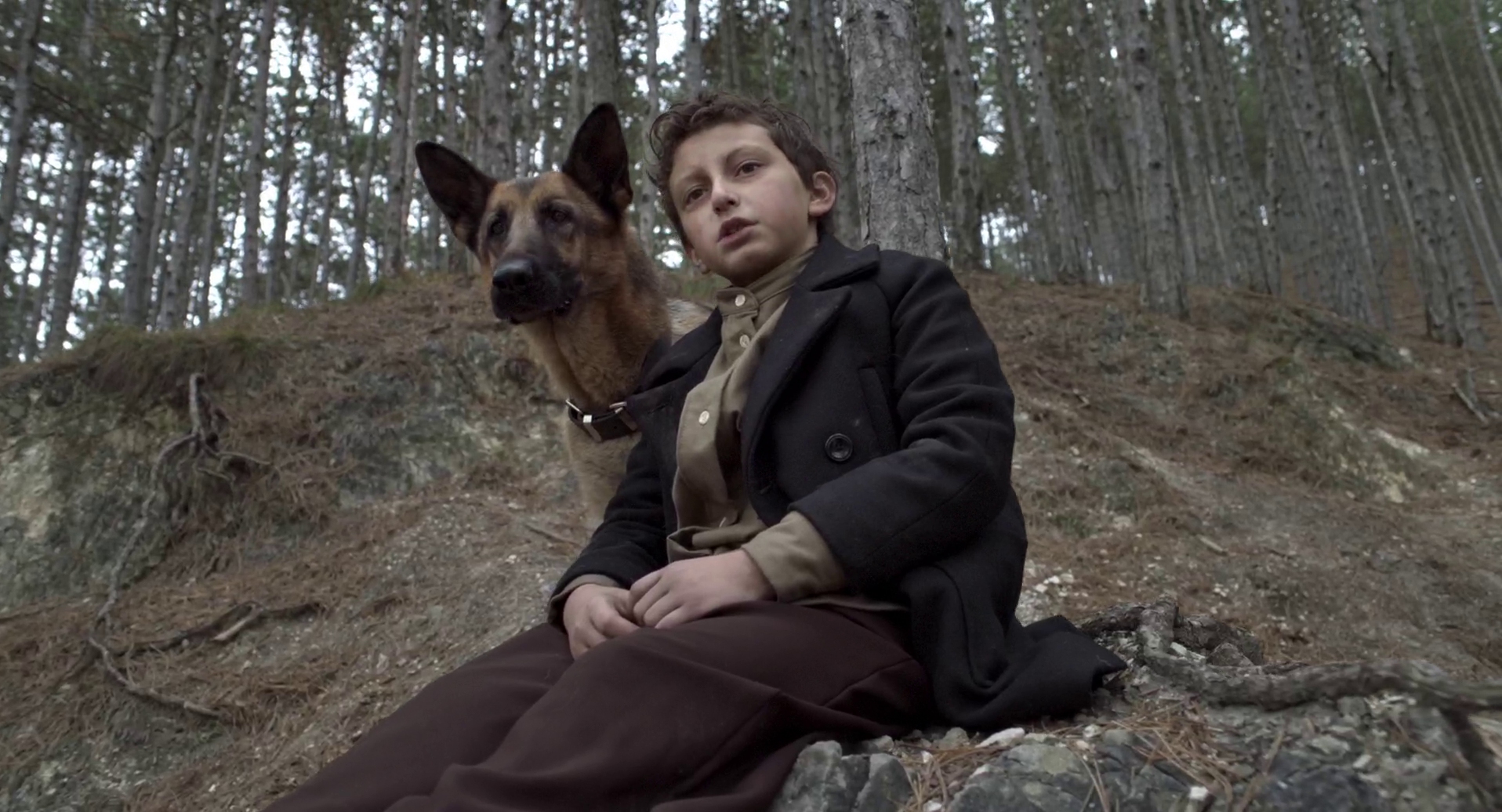 August Maturo in SHEPHERD: The Story of a Jewish Dog