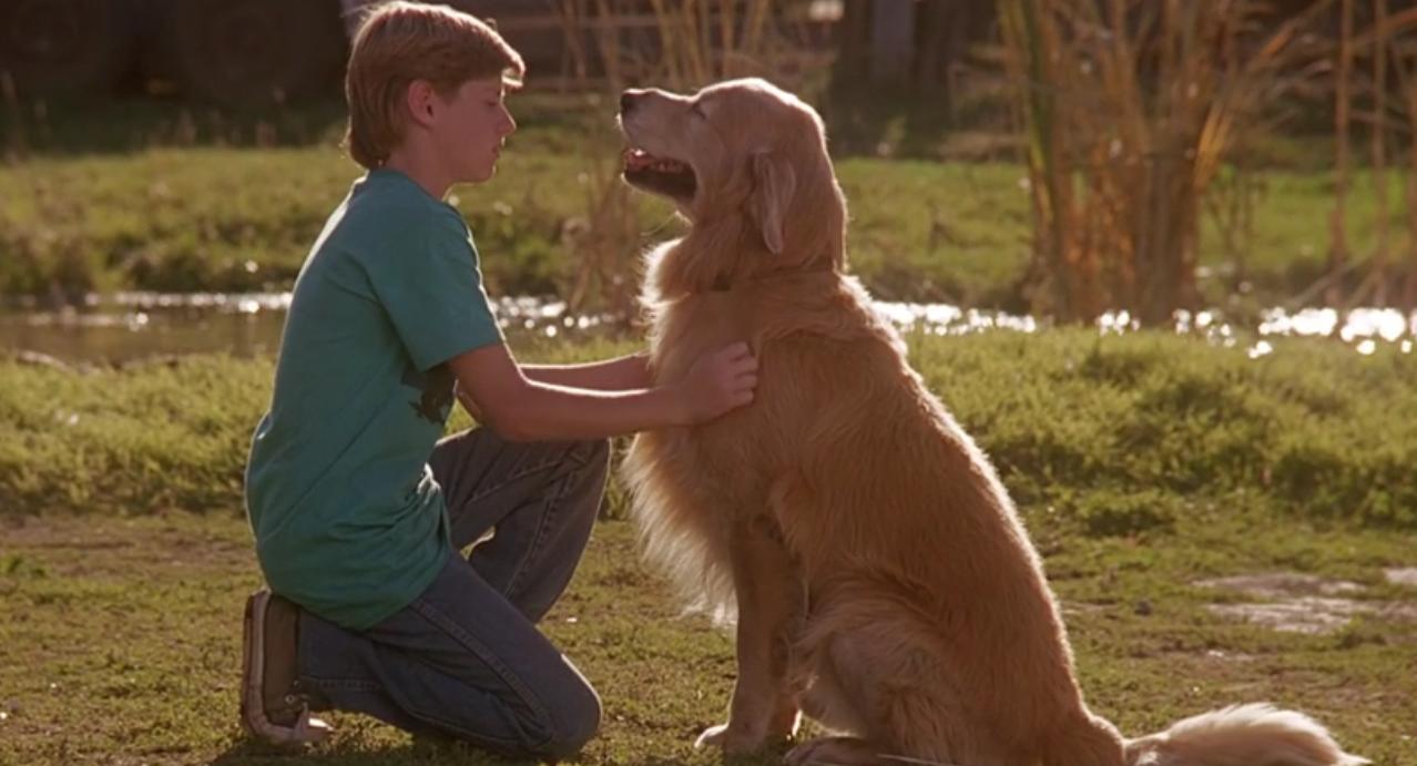 Benj Thall in Homeward Bound: The Incredible Journey