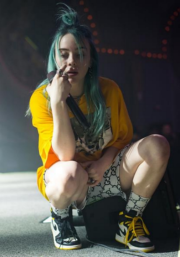 General picture of Billie Eilish - Photo 60 of 223. 