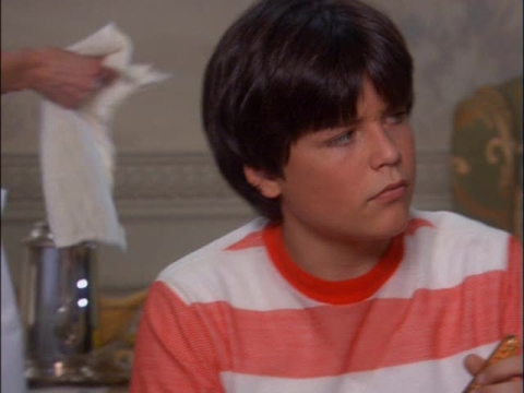 Blake Foster in The Brady Bunch in the White House