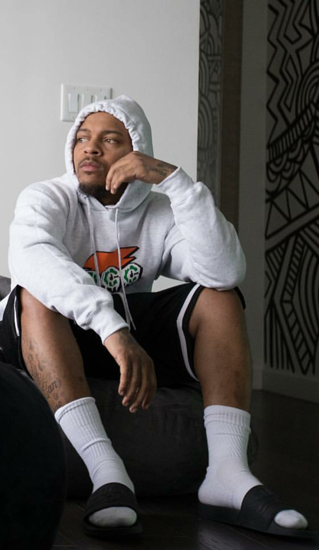 General photo of Bow Wow