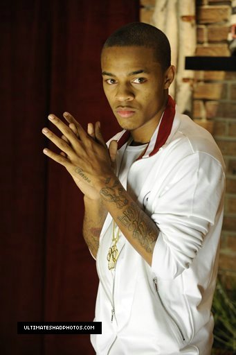 General photo of Bow Wow