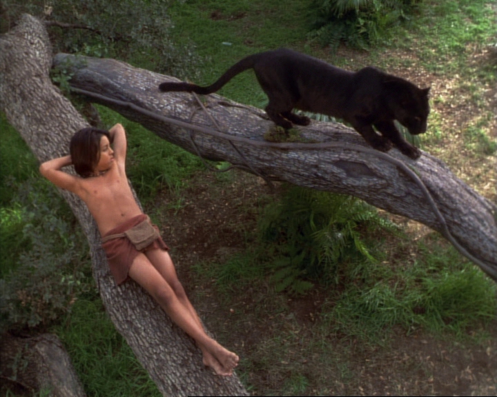 Мальчик решил спрятаться за то большое дерево. Mowgli Brandon Baker. Багира и Маугли 2016. Маугли 1973 Багира.