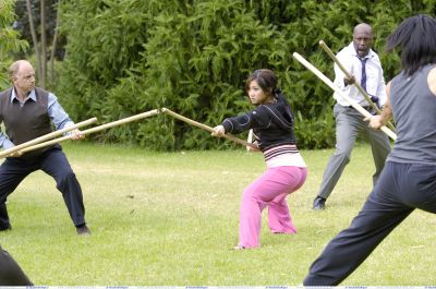 Brenda Song in Wendy Wu: Homecoming Warrior