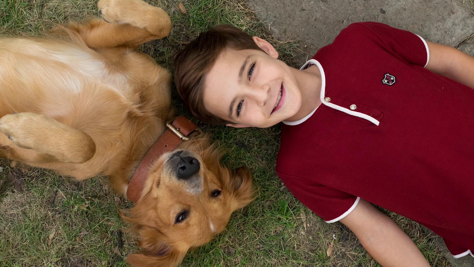 Bryce Gheisar in A Dog's Purpose