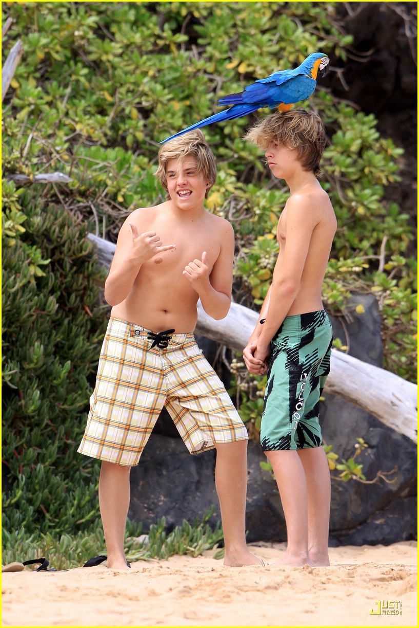 General photo of Cole & Dylan Sprouse