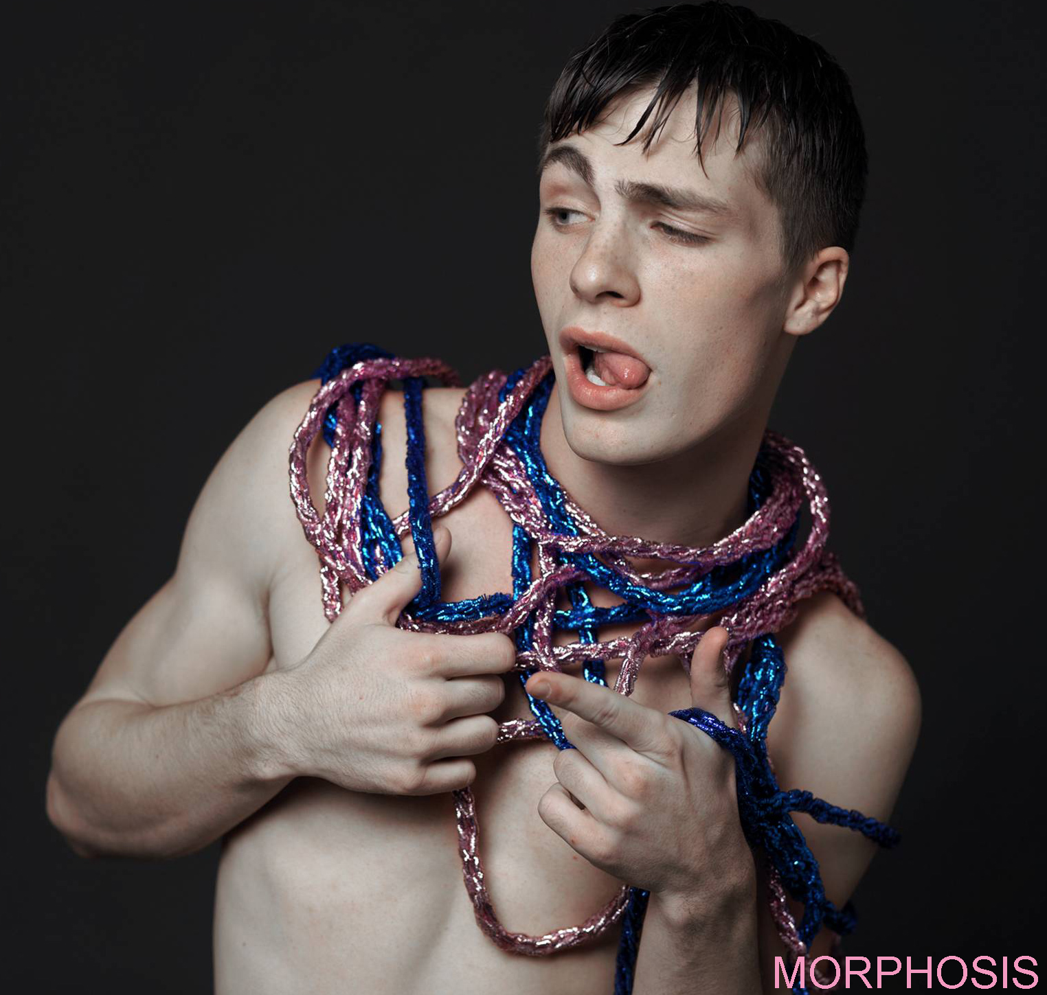 General photo of Colton Haynes