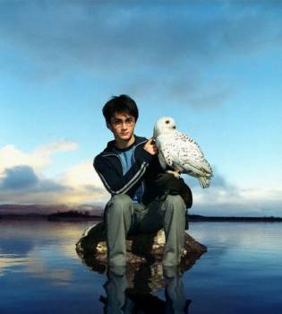 General photo of Daniel Radcliffe