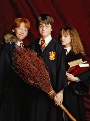 Picture of Daniel Radcliffe in Harry Potter and the Sorcerer's Stone ...