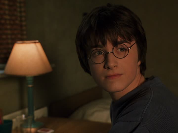 Daniel Radcliffe in Harry Potter and the Chamber of Secrets